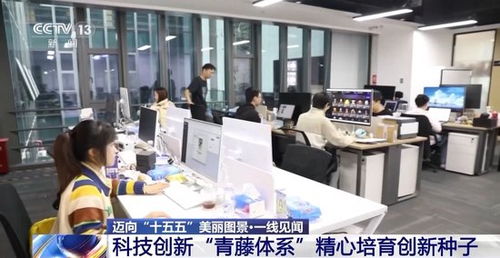 一線見(jiàn)聞丨順藤摸瓜 深圳科創(chuàng)青藤體系如何賦能硬科技轉(zhuǎn)化